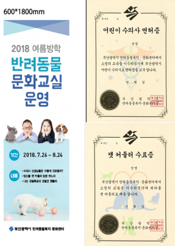 부산시, 당신을 캣 커들러로 임명 하노라! 