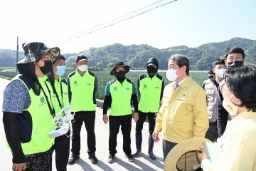 '드론'  양파 병해충 방제‘척척’, 농가관심‘쑥쑥