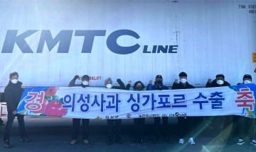 싱가포르 입맛 사로잡은 “의성사과”수출 쾌조