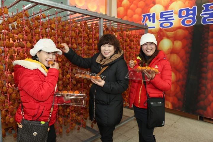 영동군, 곶감 관광열차 뜬다!