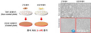 의성군, 근육세포 고속 배양 기술개발 성공