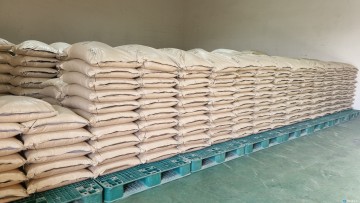 충북도, 고품질 식량작물 위한 보증종자 13톤 공급