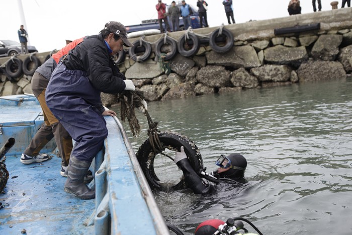 한국수중환경안전협회, 안산 대부도서 수중환경활동 실시