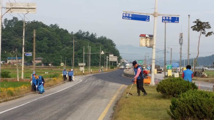 산척면 바르게살기위원회 가로변 환경정비