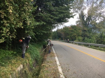 고제면, 추계 도로변 풀베기 작업 추진