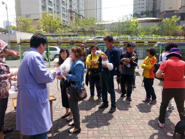 대전 동구, 광견병 무료 예방접종 실시