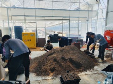 음성군 건축과, 다육이 농장 찾아 영농철 일손돕기 나서