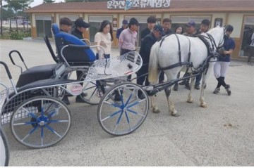 영천시, 레저관광 말산업 개발 시동