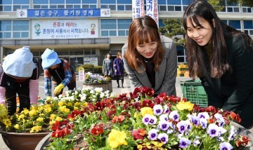 대전 중구, 도심이 봄꽃으로 활짝!