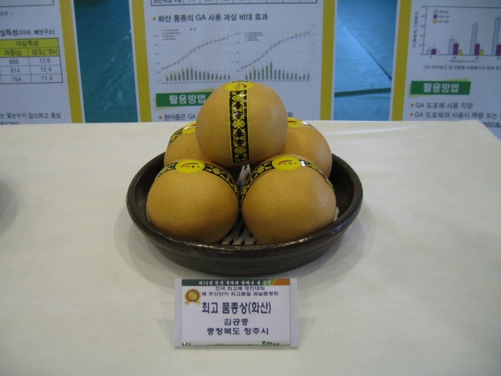 청주 화산배 전국 우리배 한마당 큰잔치 최고품종상 수상