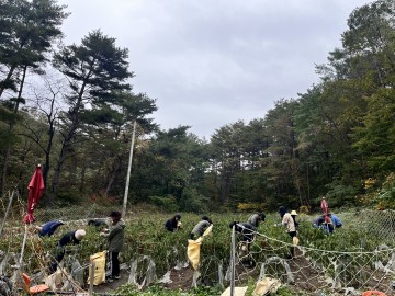 일월면, 가을철 농번기 맞아 농촌일손돕기 나서