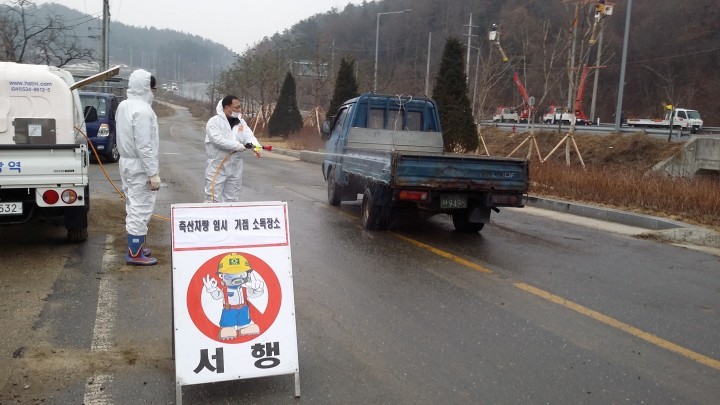 대전 서구, 설 연휴 구제역·AI 특별방역대책 추진