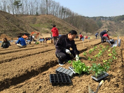 세종시, 주말농장 분양 신청 접수