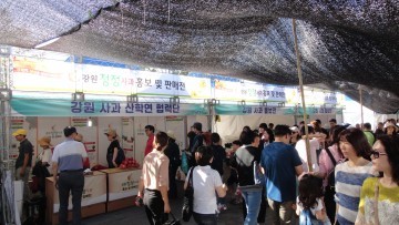 평창군 사과연구회 평창사과 우수성 홍보 판매 행사