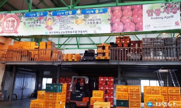안동사과 15㎏용량 882상자 대만 첫 수출