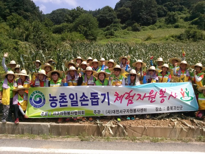 대전 서구 자원봉사센터, ‘농촌 일손 돕기’ 구슬땀!