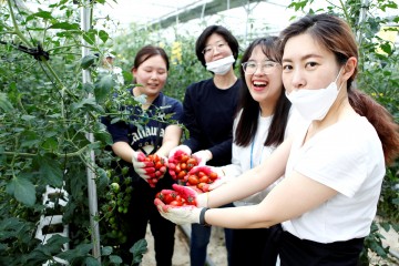 세종도시교통공사, 코로나19 극복 농촌 일손 돕기 나서