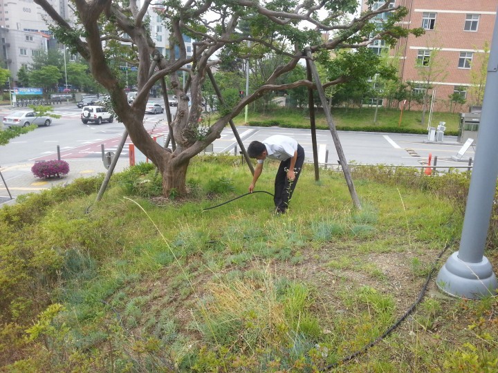 대전 동구, 공원내 조경수 보호를 위한 점적관수 설치