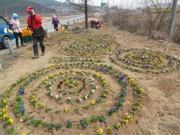 중동면, 새봄맞이 연도변 꽃길조성