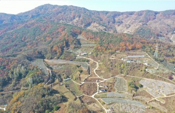 2022년 과실전문생산단지 기반조성사업 공모 선정