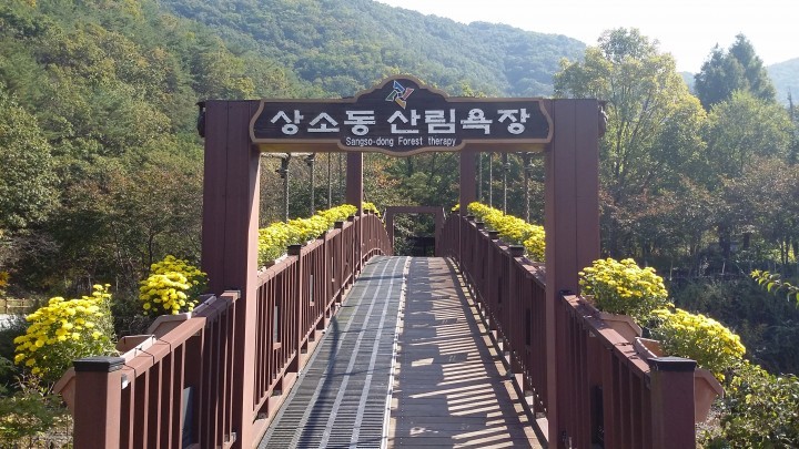 대전 동구, 상소동에서 가을을 만나세요!