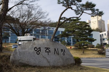 동    정
