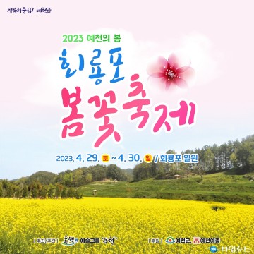 예천군, 청보리와 유채꽃이 가득한 회푱포 봄꽃축제 개최