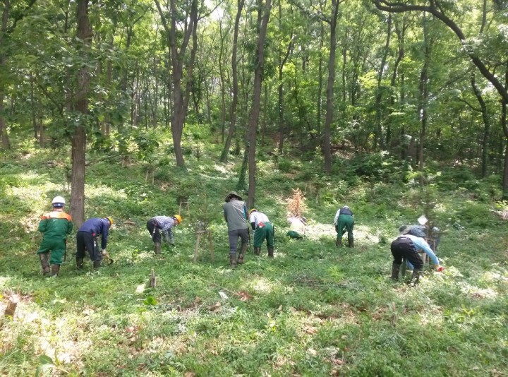 대전 대덕구, 계족산 숲 가꾸기 사업 완료