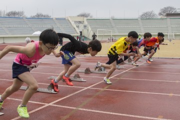 세종시교육청, 제5회 세종소년체육대회 개최