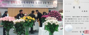 충북농기원  진천군 이현규 농가 국내 육성 절화장미 재배 최우수 농가로 선정