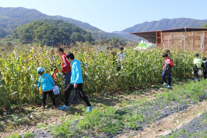 예천군, 제5회 국사골 메뚜기축제 개최