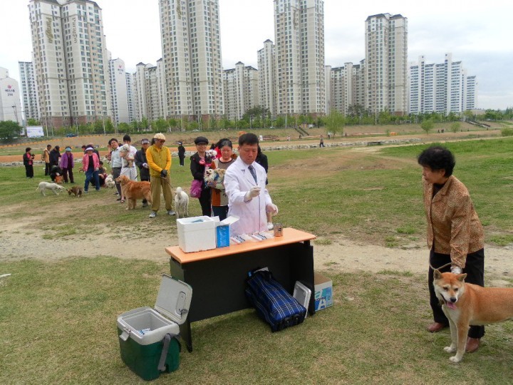 대전 서구, ‘광견병 무료 예방 접종’ 시행