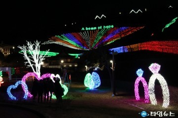 보성군, 제15회 보성차밭  빛축제 31일간 개최