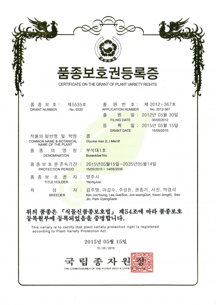 천년지기 부석태의 부활부석태 1호 품종등록 완료