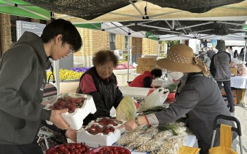 대전시, 매주 화요일 직거래장터 개장
