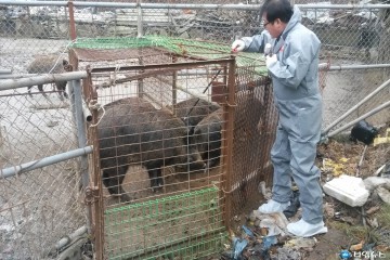 울진군, 하반기 구제역 예방백신 일제접종