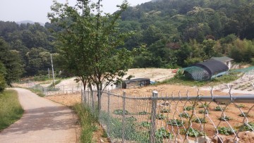 대전 대덕구, 야생동물 피해예방시설 설치 지원사업 추진