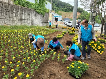 광양시농촌지도자회, 여름꽃으로 활기찬 경관 조성 