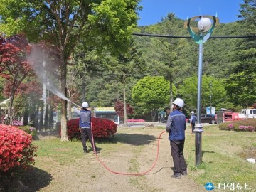 보은군, 여름철 산림병해충 총력 대응