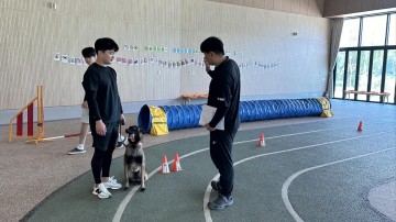 대전동물보호사업소, 맹견 사육허가제 정착 위해  기질평가 사전 모의 시연회 개최