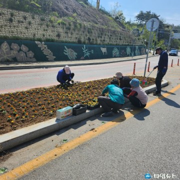 봉화읍, 봄맞이 아름다운 꽃길 가꾸기