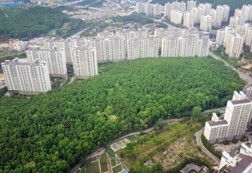 용인시 광교산 자락 개발 제동.."용인시 행정심판 이겨" 