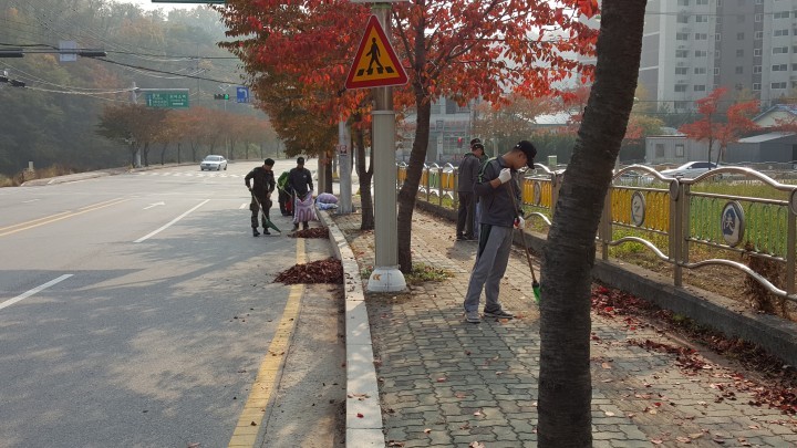 와부읍,‘가을의 불청객’낙엽 거리 청소 