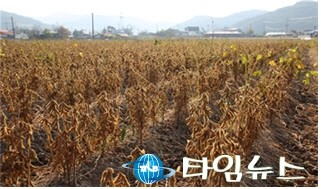 울진군, 향토산업육성사업 추진