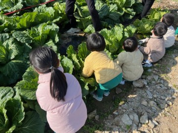 대전시, 공영농장서 재배한 배추 광역푸드뱅크에 전달