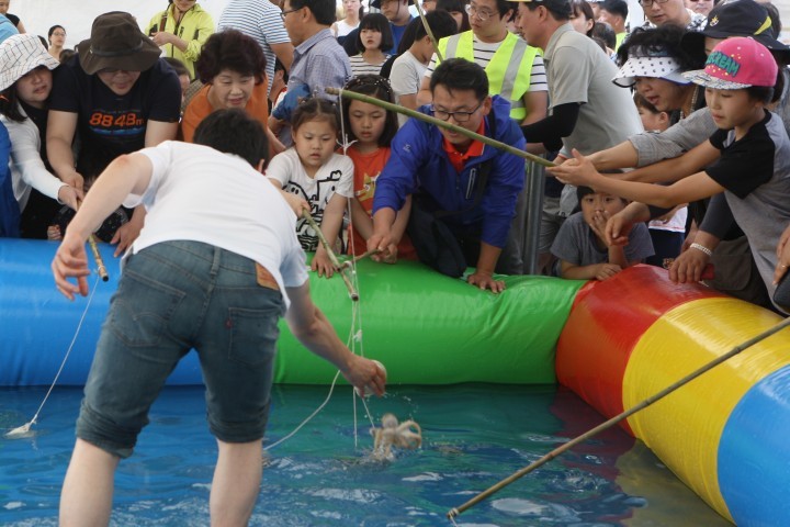 “내년에 또 보입시더~”, 사천시 삼천포항 수산물 축제 성황리에 막내려