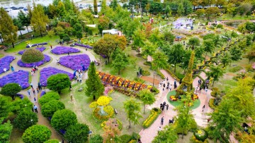유성국화축제 만족도 91.5점…재방문 61.6%, 지역 대표 가을축제 입증