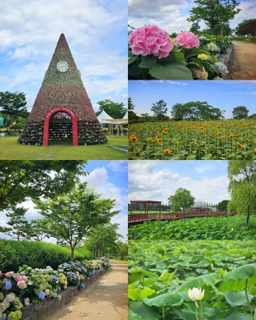 무안군, ‘제28회 무안연꽃축제’ 개막 