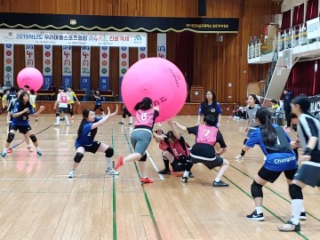 대전시교육청, 우리마을스포츠클럽(洞Go同樂) 킨볼 축제 개최