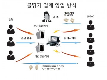 해수욕장 주변 대규모 불법 콜뛰기 조직일당 74명검거